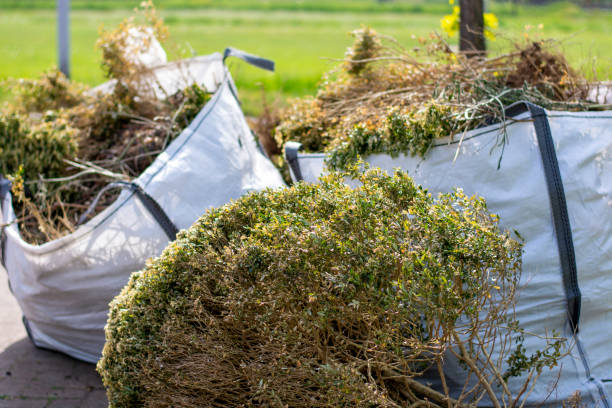 Best Carpet Removal and Disposal  in Manchester Center, VT
